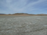 22464P1010617.JPG