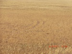 29834CIMG1267.JPG