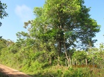 31819IMG_5420.JPG