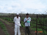 126120167c-irrigated-supplemental-groundwater-grape-garden-dominant-soyabean-millet.gif