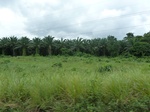20256P1020111.JPG