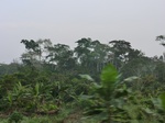 50012CIMG6349.JPG