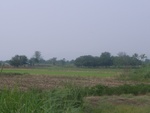 28186RIMG0175.JPG