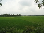 21702DSC00242.JPG