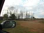 8650IMG_0009.JPG
