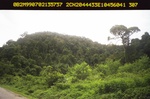40447ANH1291.JPG