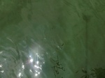 58365CIMG2814.JPG