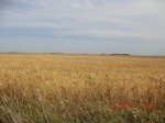 29686CIMG0977.JPG