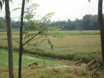 21819DSC08377.JPG