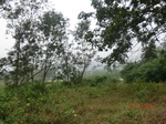 52885CIMG4972_调整大小.JPG