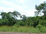 21054P1020926.JPG
