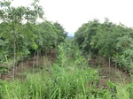 34846CIMG1517.JPG