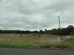 35845DSC02612.JPG