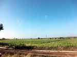 56268CIMG7009.JPG