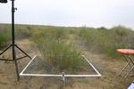 25996100N-2-IMG_1370.JPG
