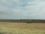 35943DSC02713.JPG