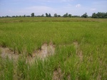 33559RIMG0224.JPG