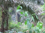 44474CIMG1659.JPG