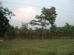 21919DSC08516.JPG