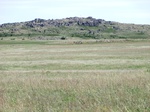 30123CIMG0268.JPG