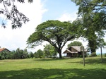15504IMG_4574.JPG