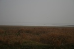 4244IMG_8883.JPG