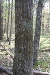 325IMG_3434.JPG