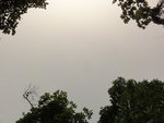 46647DSC01980.JPG