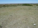 29253CHEY20110505N.JPG