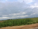 56049CIMG6738.JPG