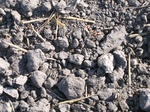 11550IMG_1689.jpg