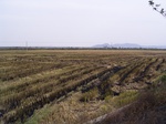 3217R0017251.JPG