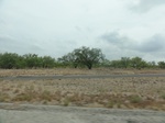 35369DSC02881.JPG