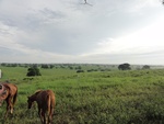 24878DSC01094.JPG