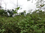 45998CIMG0287.JPG
