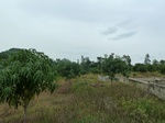 18548P1000384.JPG