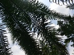 46283CIMG0572.JPG