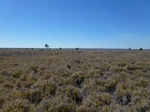 2012-08-28_20-34-46_P1010296.jpg