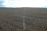 51590AGR_WA_040_L1.jpg