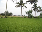 15356IMG_4200.JPG