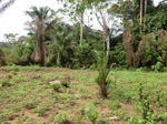 46905CIMG3242.JPG