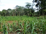 20123P1010974.JPG