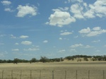 35099DSC02302.JPG