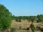 29074CIMG0556.JPG
