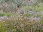 24925DSC00032.JPG