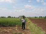 9409gt82a_grains_maize.gif