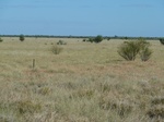 42497P1000296.jpg