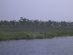 541R0015087.jpg