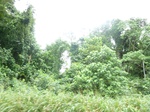 20262P1020117.JPG