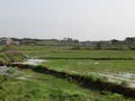 51727CIMG0736.JPG